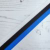 Picture of Estonia Flag Printed Ribbon