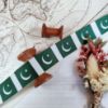 Picture of Pakistan Flag Printed Ribbon