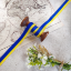 Picture of Ukraine Flag Printed Elastic